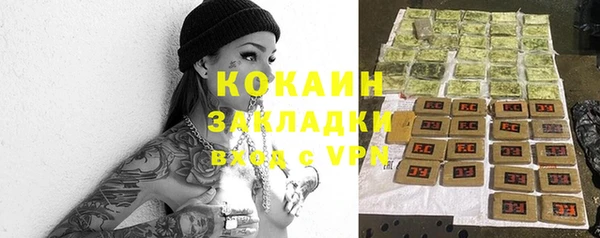 сатива Баксан