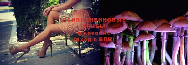 сатива Баксан